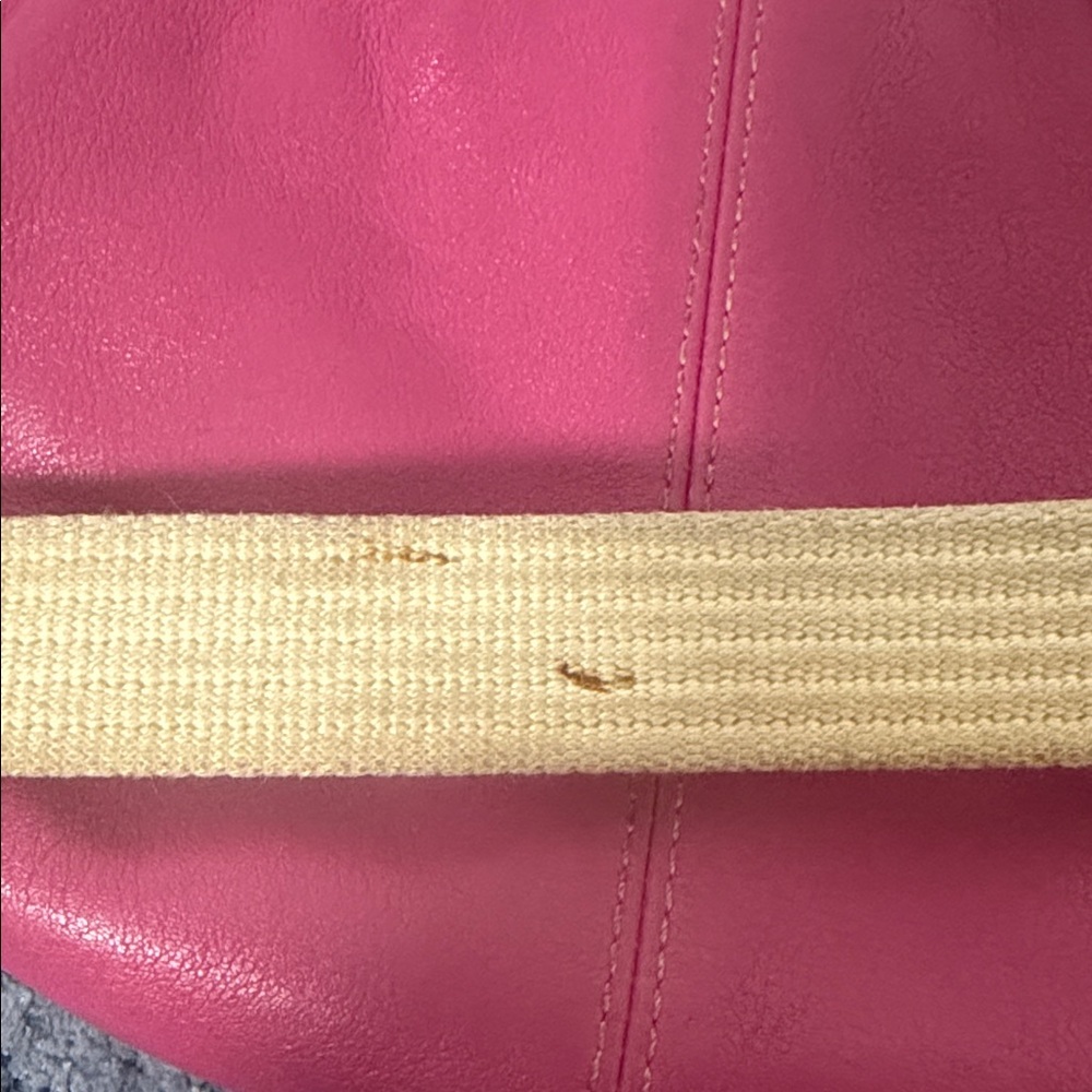 COACH Ashley Crossbody Pink Leather
Swingpack Shoulderbag Purse - Picture 10 of 10